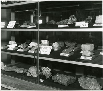Varieties of Calcite Mineral Exhibit.