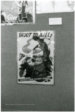 Exhibit in second floor gallery of Mountainlair. Poster says, 'Shoot to kill, protect your victory garden'.