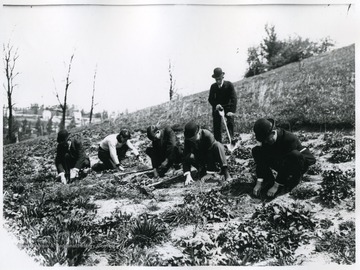 Students in Nolan's Forestry class digging in a field.
