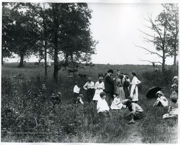 Students and teachers examine specimens in the field.