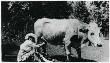 A woman smiles while she milks a cow.