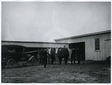 Men stand around mules and a car.