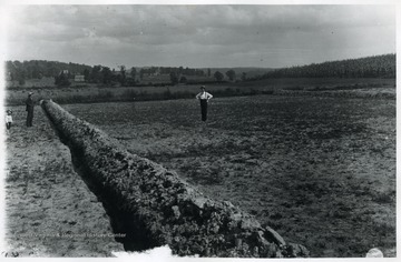 A cranberry patch with ditches dug up.