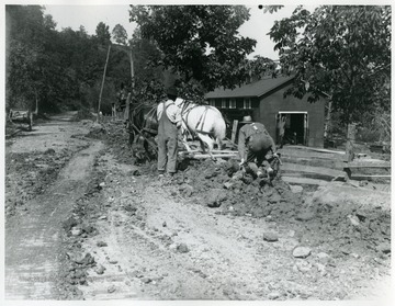 Workers use a horse drawn tool to dig up a dirt road for improvement project.
