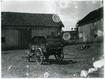 A view of manure spreader in a barn yard.