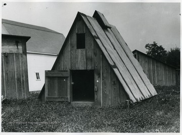 A view of an A-Frame hog house.