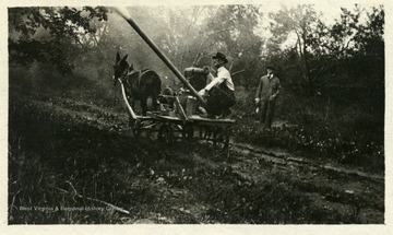 A man on a cart sprays fruit trees with dusting machine, while other watches.