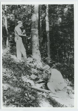 'Ross Mellinger, SCS Woodland Conservationist (L), and John Gorman, SCS Soil Scientist Specialist (R)."