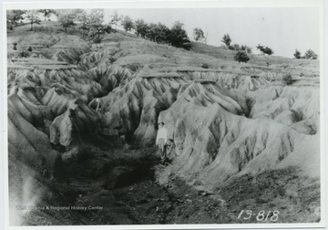 'Gullies 10 to 15 feet deep badly damage this area 4 miles east of Union, Monroe County. Soil: Red Shale.'