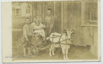 'This is Beryard, Alta, Dwight and Pearl. Guy was not home and David would not come out of doors. Taken in their everyday clothes.'