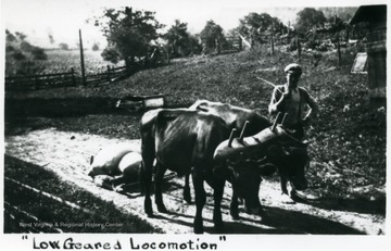 A picture of a young farmer with livestock, 'low geared locomotion.'