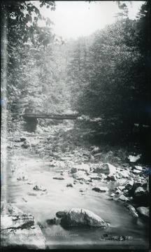 A photograph of a stream with a bridge in the background. '59 D(34); Sat. July 19, 1884, 9:45 am'