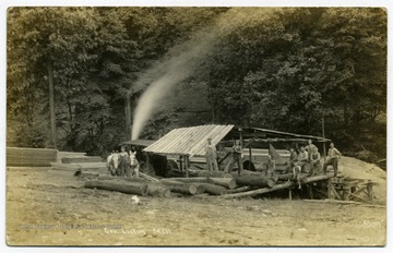 Men, children and animals working at George Liston Mill.