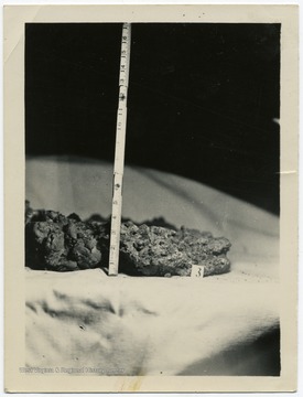 Photo from WVU College of Mineral Resources Scrapbook