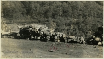 A picture of a pile of cut timber.