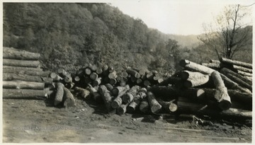 A pile of logs stacked up in the wilderness.