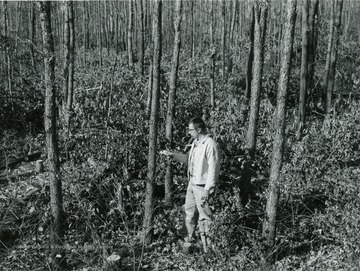 'Location: Luther Britton Rt. #1, Uffington W. Va. Monongahela SCD.; Showing: Woodland improvement cutting shortly after completion of work. Robert L. Kissler, Conservation Aide, inspecting the site.'