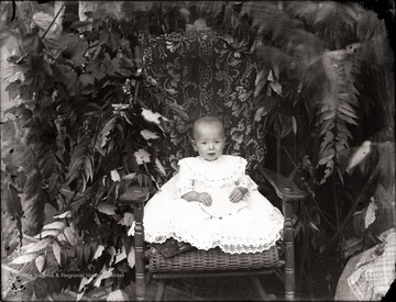 A portrait of child in a wicker chair against foliage, Helvetia, W. Va.
