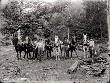 A portrait of loggers and work horses stand in the cleared field.