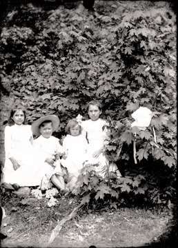 A portrait of three girls and a boy near maple trees,