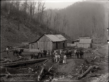 A view of a logging camp. 
