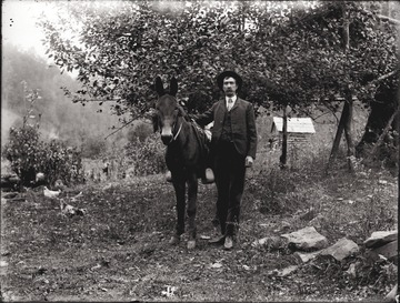 A portrait of man and horse taken near a fruit tree.