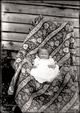 A portrait of infant in a draped chair taken outside.