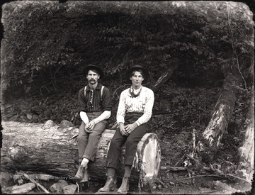 A view of two loggers resting on felled tree.