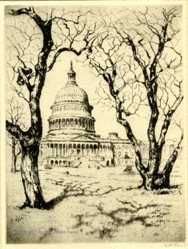 A print of the Capital in Washington, D. C.