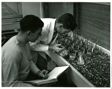A student keeps records while other conducts experiments.