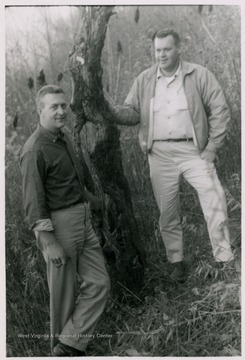 On the back of this photo: 'Left,Paul Allen, County Agent(?) and Dave Quinn, Extension Plant Pathologist and Entomologist with Original Golden Delicious Apple Tree near Odessa, Clay County in area between Glen and Lizemore.'