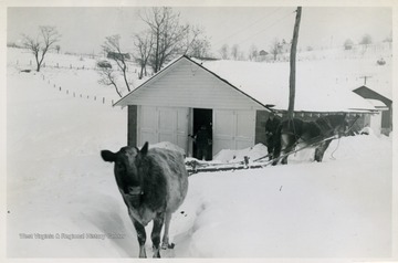 'Taken by John C. Ludlum at Hugh Phillips' farm, Stewartstown Community. Man beside horse and sleigh is Hugh's uncle, Blaine Phillips who ran the farm(our neighbor)