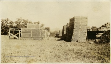 'M. M and D. D. Brown Elkins, W. Va. part of lumber yard 1911 to 1918 north of the C and I Bridge of W. M. Railroad'.