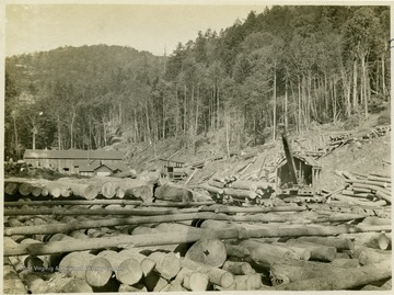 'Wood's operation Tygarts River Lumber Company, Mill Creek, W. Va., showing logging on Mill Creek. Cards furnished by Robert G. Kay, West Chester, Pennsylvania November 1951.' On the front of the photo: 'Log loader at work, Camp # 1'.