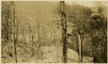 'Sections 12 Switchback Railroad Clover Run to Brown Siding, Tucker County, W.  Va.'.