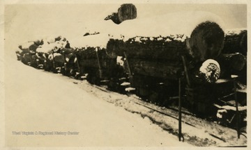 'A train load of yellow popular RR standard gauge.'