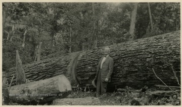'The Birch Valley Lumber Company, Tioga, W. Va.'