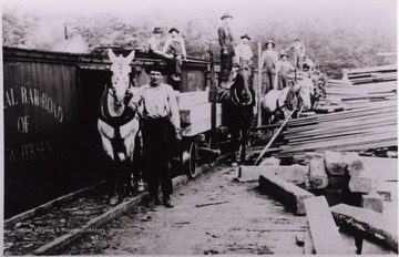 Railroad workers are posed with horses carrying lumber next to train cars. "Notice the railroad cars' wheels are backwards."