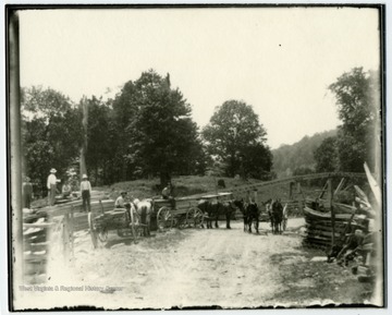 Carrying lumber by horse-drawn wagon and tramway.