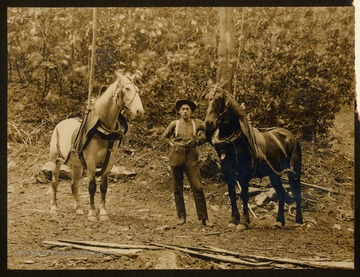 Information included on the back of the photograph: "Picture made in 1907 at Goshen, W. Va. where he drove these lovely horses - uncle Charles Thomas".