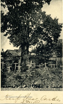 Tree under which Union Army Quartermaster William McKinley (later President of the United States) and General McClellan camped during the Battle Summer of 1861 in Western (West) Virginia.