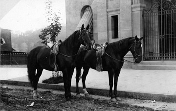 The Drs. Rusmisells used horse transportation to make visits to patients and settled in Gassaway in 1905.