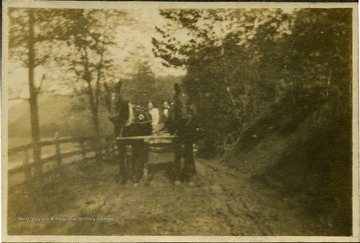 A horse-drawn carriage with passengers on Hans Creek Road. All persons in the photograph are unidentified. 