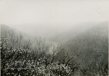 This is a photograph of the Cheat River. It was taken from Coopers Rock, West Virginia. 