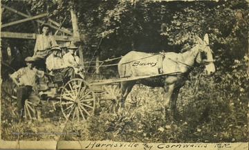 Bucky the mule, hitched to a wagon, pulls four unidentified people.
