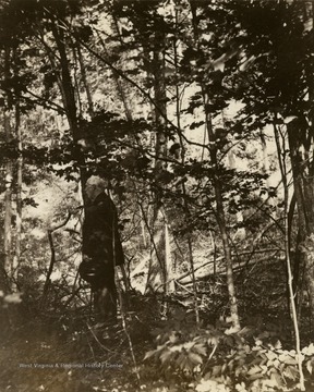 Hu Maxwell stands in a forest.