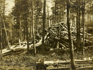 Several unidentified workers sitting among a large pile of cut logs during their dinner break.