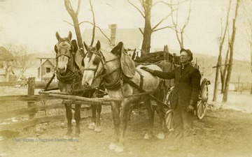 Postcard photograp of Wesley Summers stand with two horses hitched to a loaded wagon.