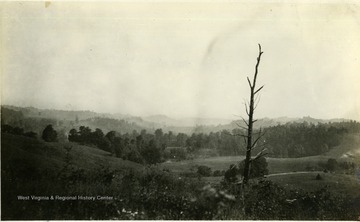 Information with the photograph includes, "Scene from Arnold Road, back of Jacksonville near head of Camden Road."