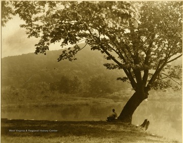 Unidentified man sits under a tree located on Mrs. Johnston's lawn by the river.